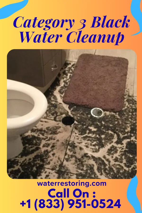 Category 3 Black Water Cleanup in Millis-Clicquot, MA