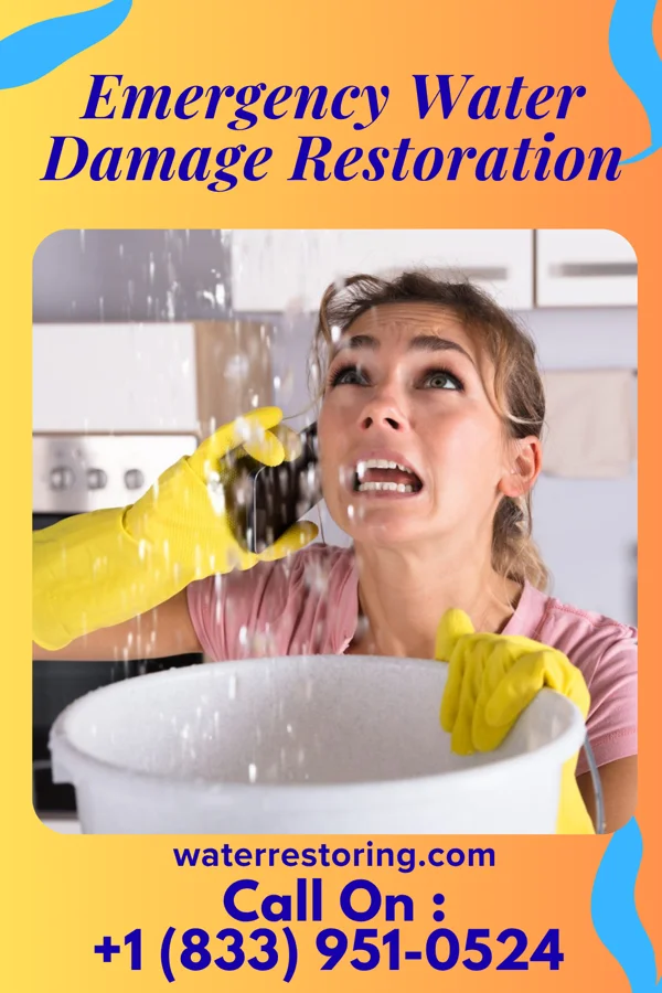 Emergency Water Damage Restoration in Millis-Clicquot, MA