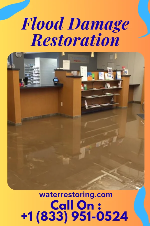 Flood Damage Restoration in Millis-Clicquot, MA