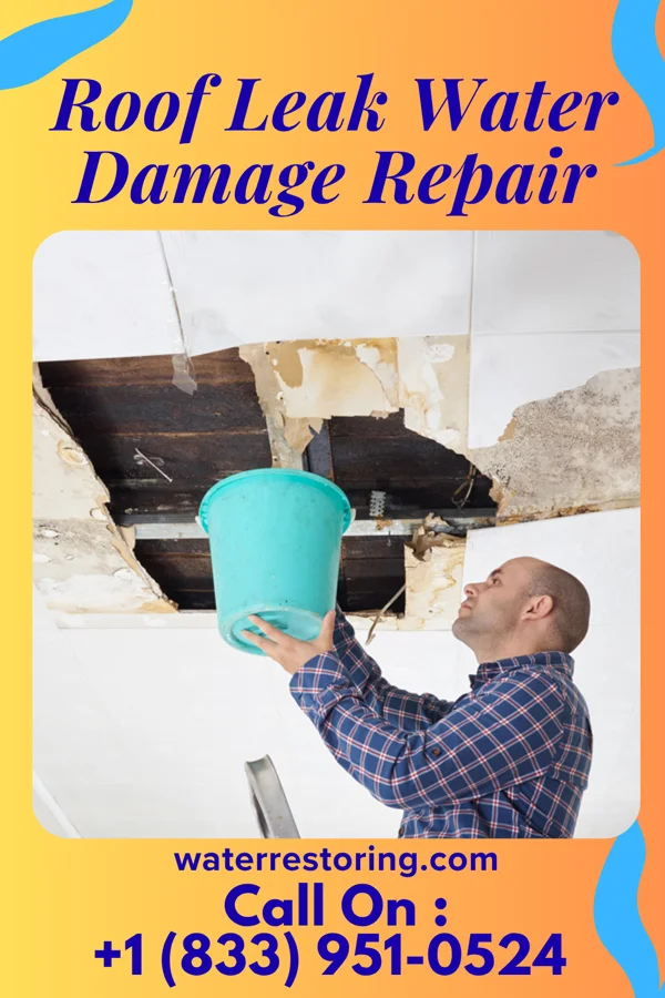 Roof Leak Water Damage Repair in Millis-Clicquot, MA